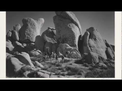 Ansel Adams&#039; Zone System: Joshua Tree