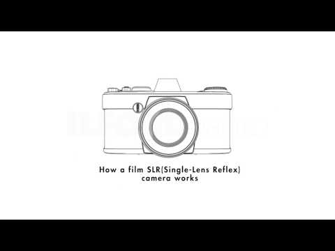 How a Film SLR Camera Works by ILFORD Photo