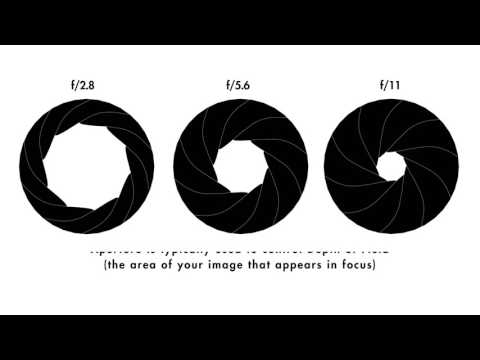 Aperture - A beginners guide by ILFORD Photo