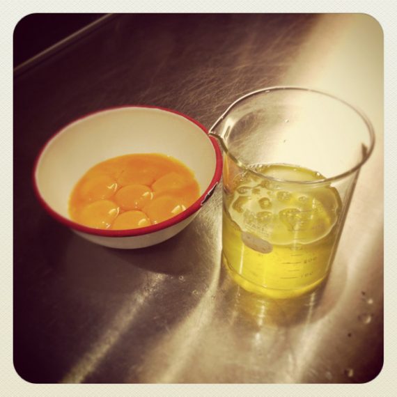 鶏卵紙のレシピ：写真古典技法／Albumen Print 東京オルタナ写真部 Tokyo Alternative Photography